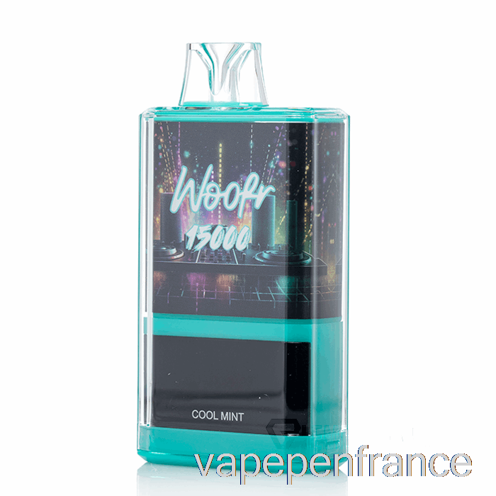 Stylo Vape Jetable à La Menthe Fraîche Woofr 15000